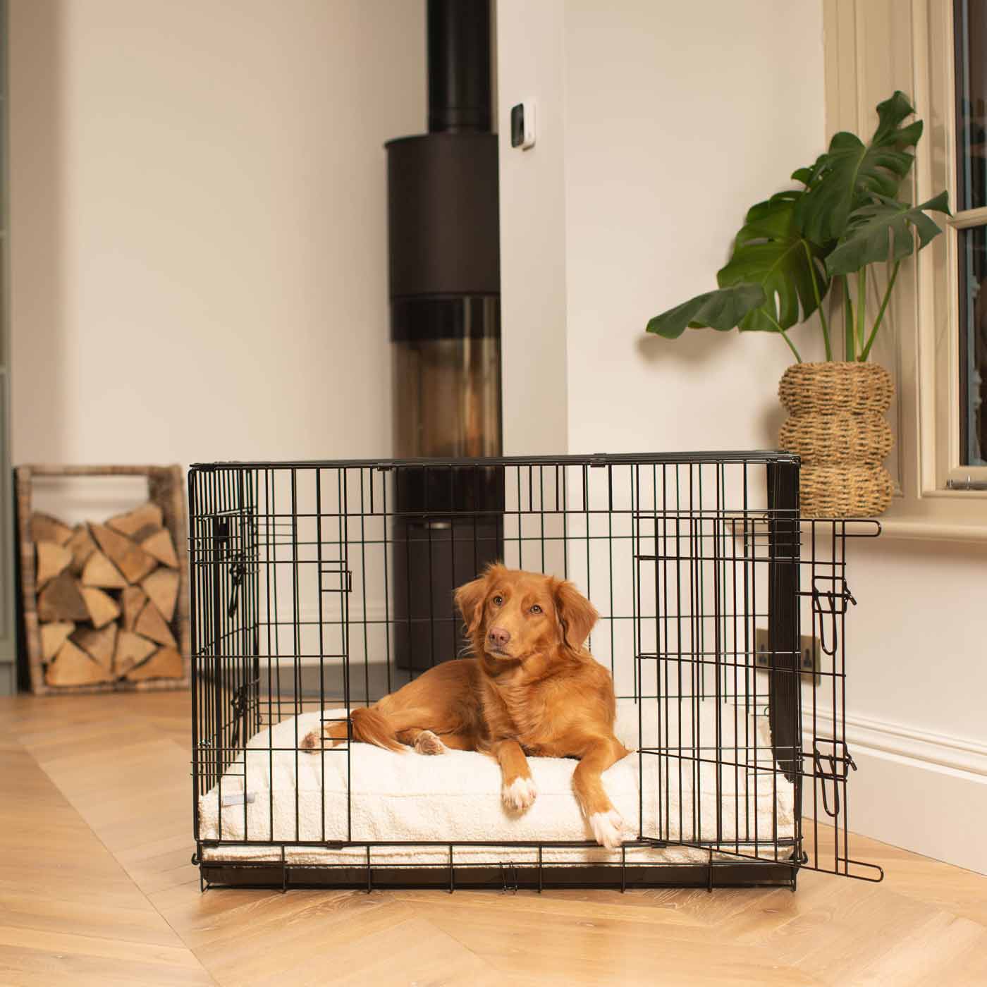 Dog Cushion in Ivory Boucl by Lords & Labradors