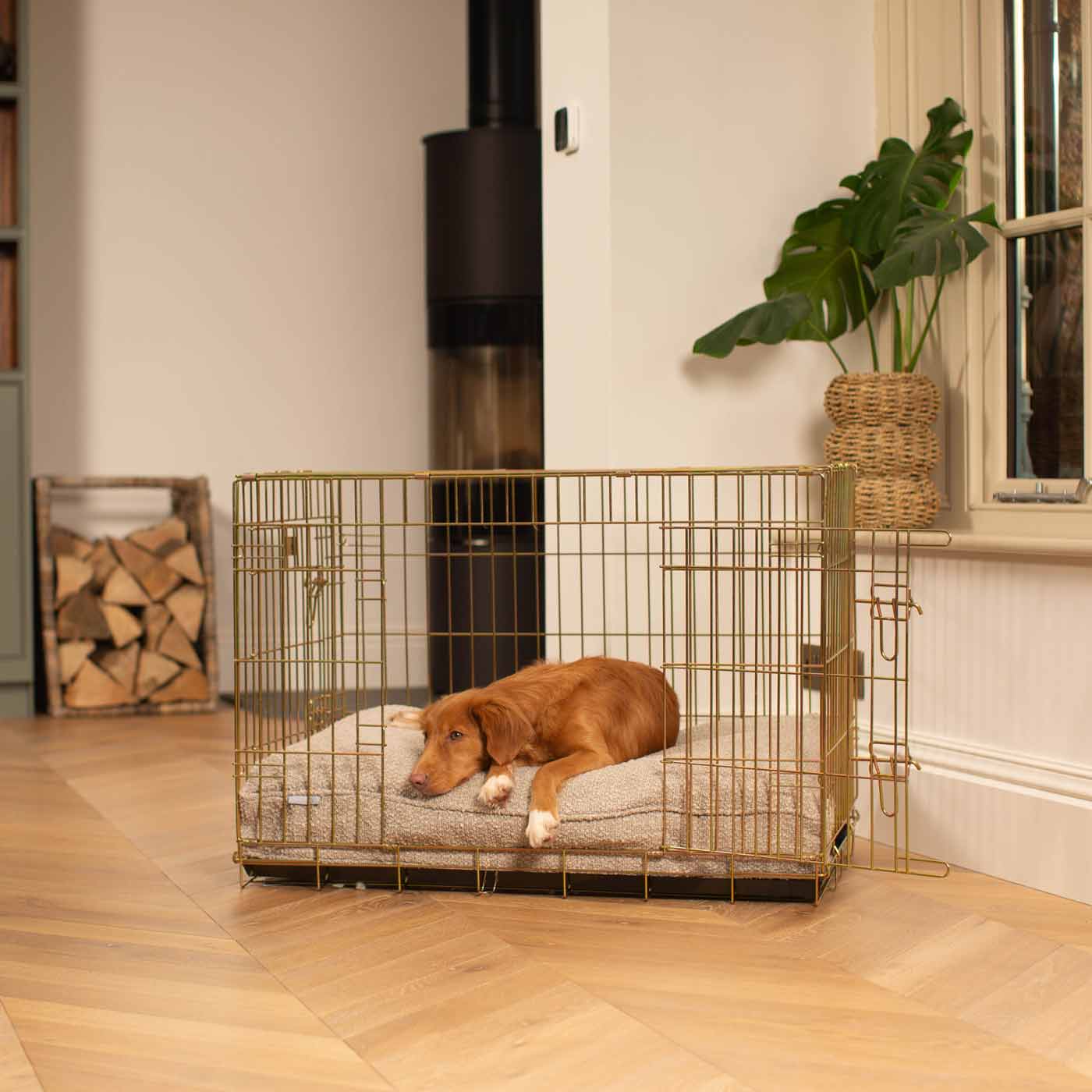 Dog Cushion in Mink Boucl by Lords & Labradors