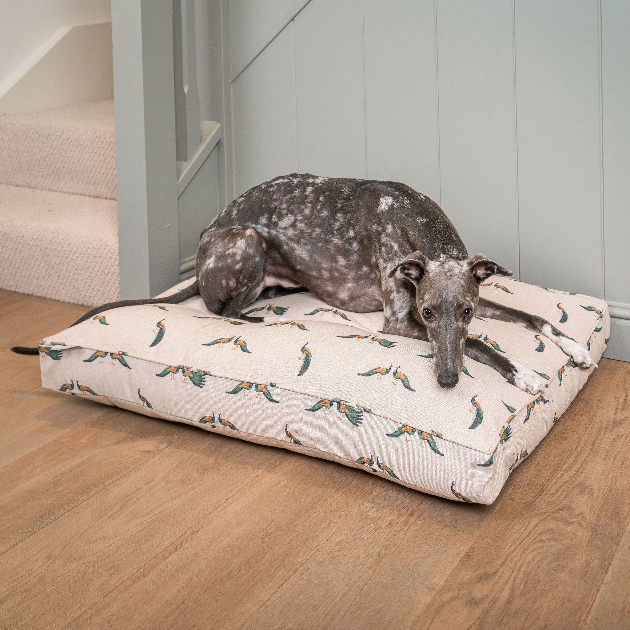 Dog Cushion in Woodland Peacock by Lords & Labradors