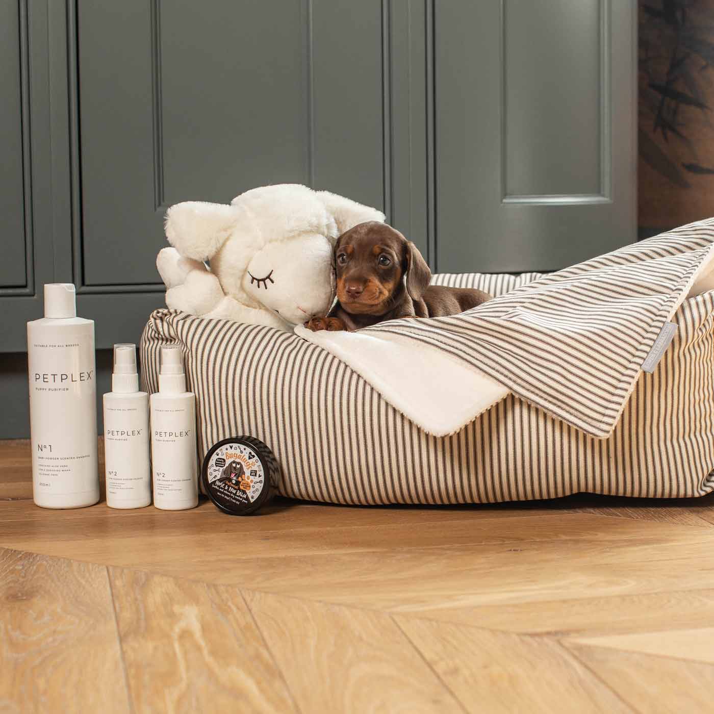 Puppy Bath & Bed Gift Set by Lords & Labradors