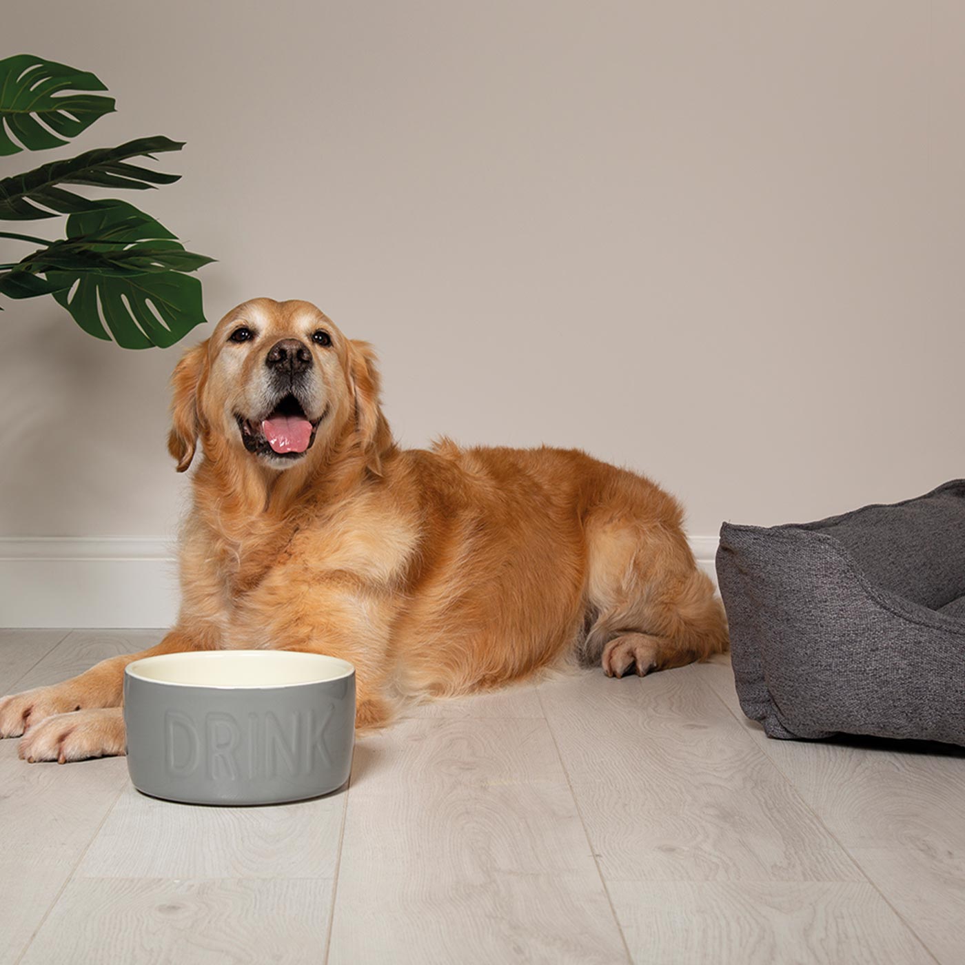 Scruffs Classic Water Bowl