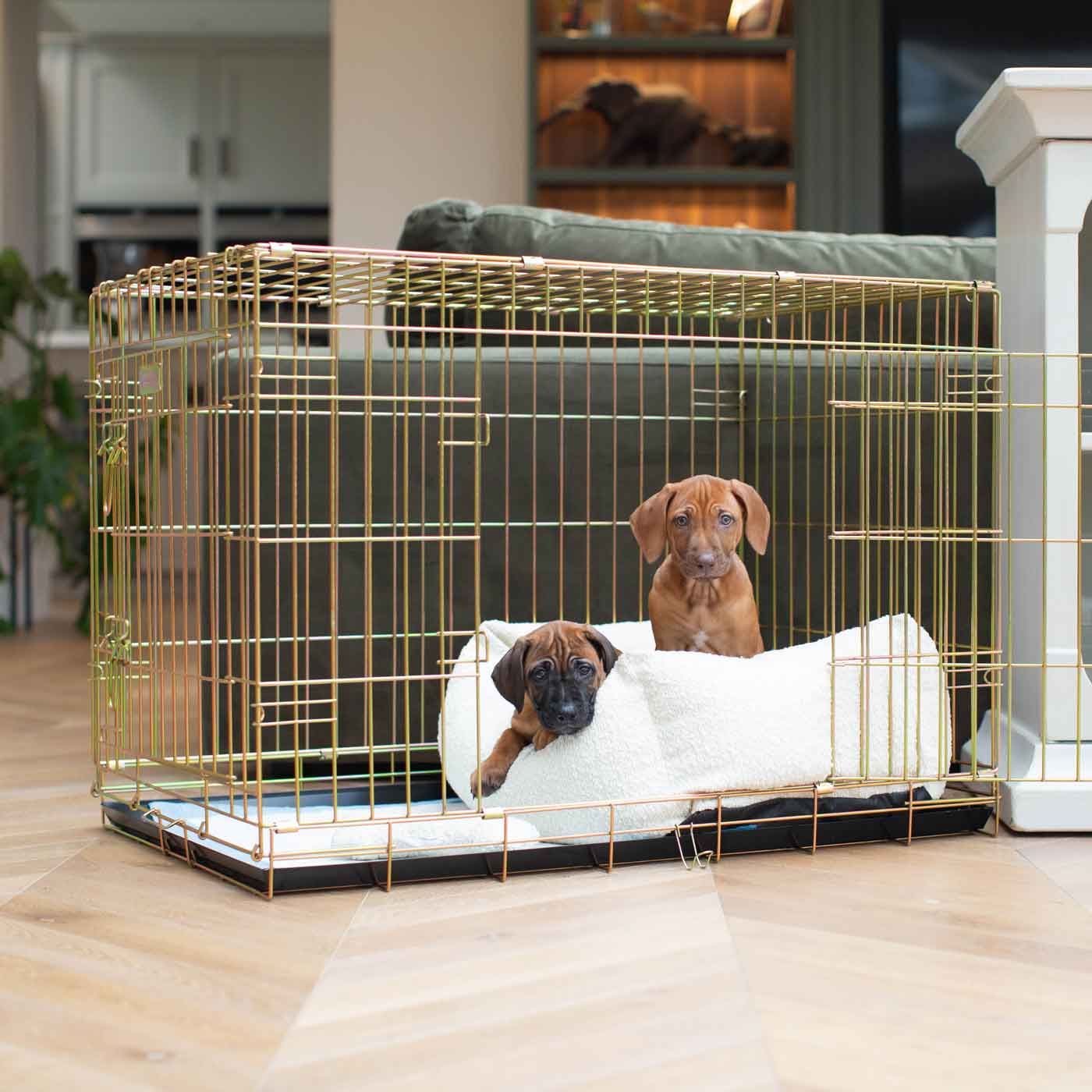 Dog Crate with Cosy & Calming Puppy Crate Bed in Ivory Boucl by Lords & Labradors