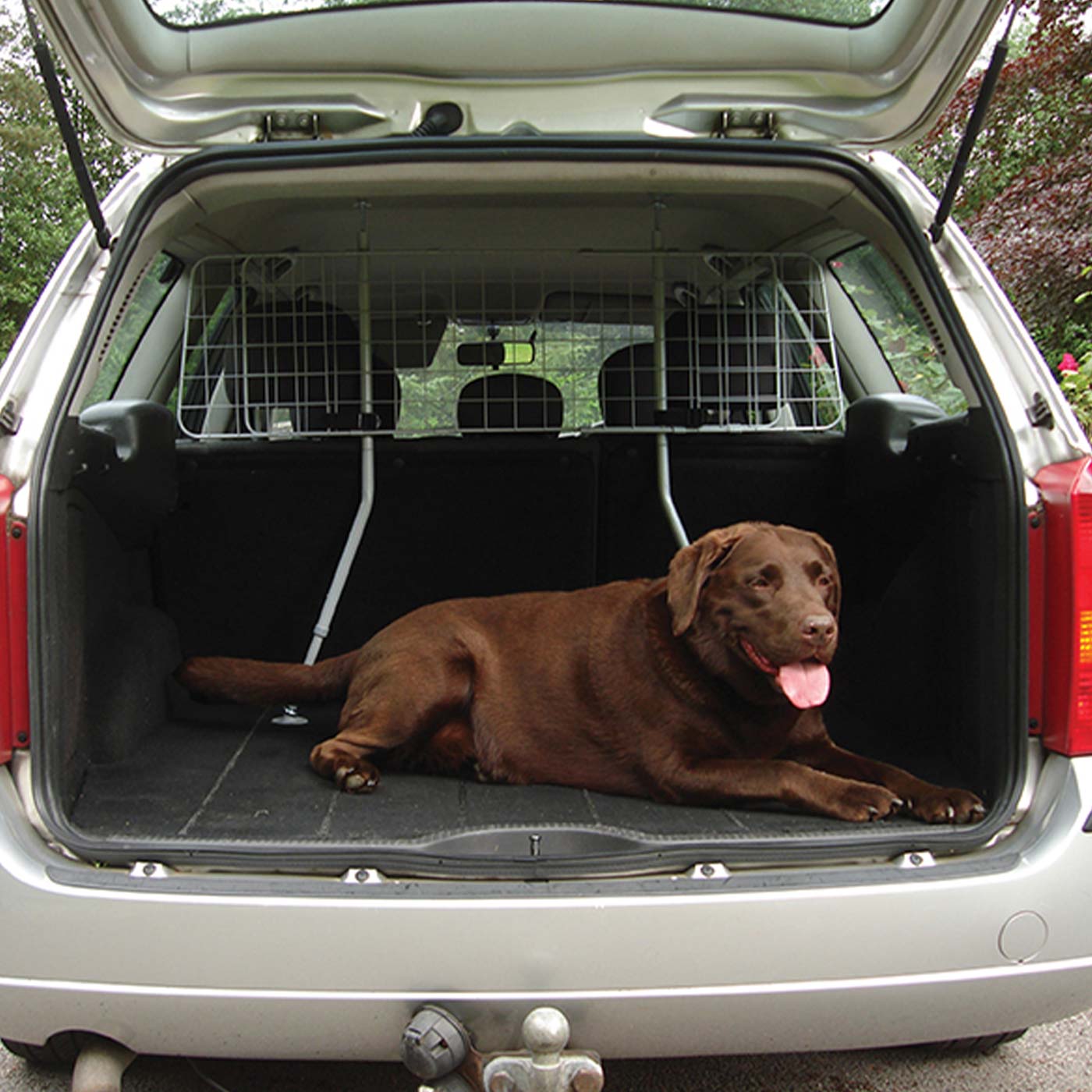 Rosewood Dog Car Guard