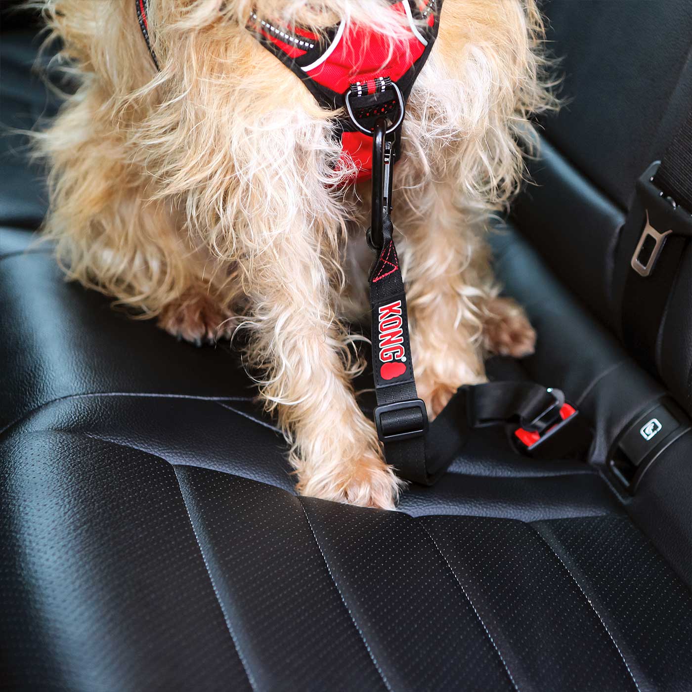KONG Seat Belt Tether
