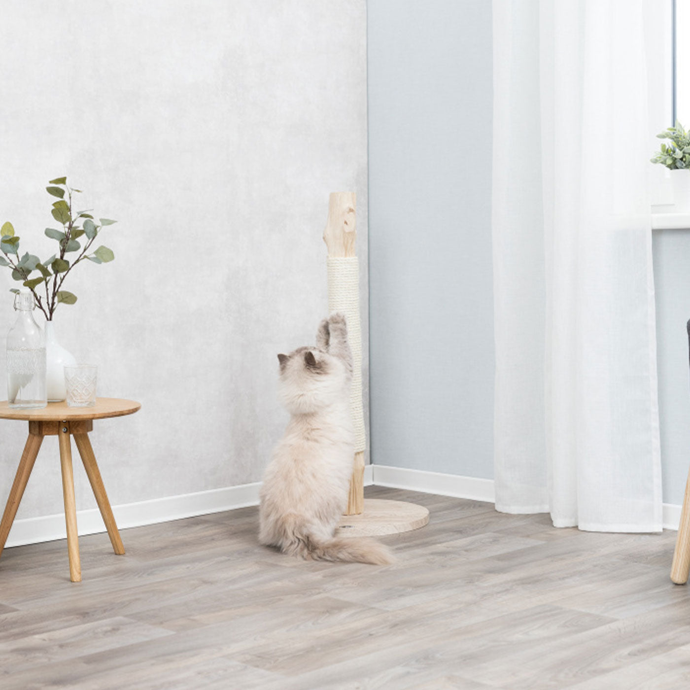 Trixie Natural Wood Cat Scratching Post